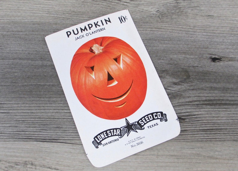 Pumpkin Seed Packet Vintage 1940s 1950s Jack O Lantern JOL Halloween Decoration Antique Seeds Autumn 40s 1950s Gardening Fall Orange Old image 10