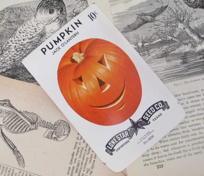 Pumpkin Seed Packet Vintage 1940s 1950s Jack O Lantern JOL Halloween Decoration Antique Seeds Autumn 40s 1950s Gardening Fall Orange Old image 1