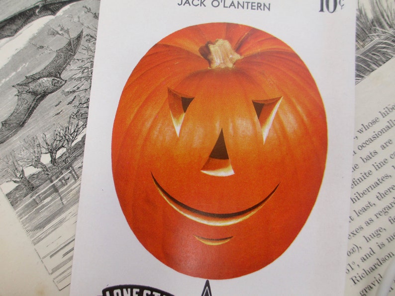 Pumpkin Seed Packet Vintage 1940s 1950s Jack O Lantern JOL Halloween Decoration Antique Seeds Autumn 40s 1950s Gardening Fall Orange Old image 2