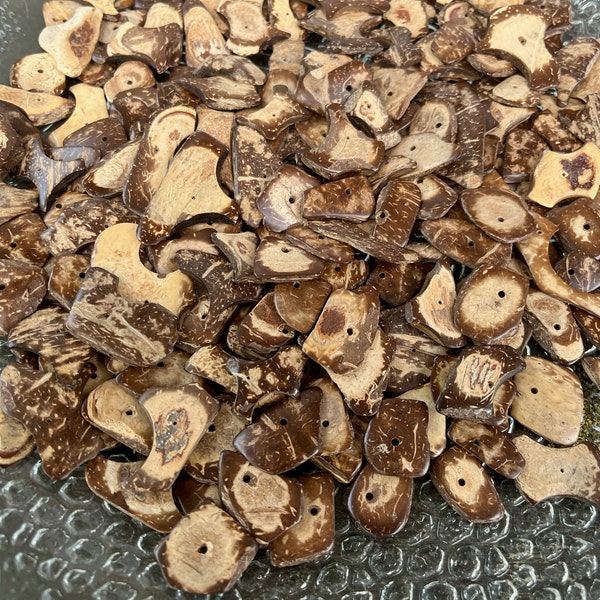 9+ Oz. Brown Tan Wooden Freeform Chip Beads Vintage 1980s Flat Wood Shape Bead Lot Embellishment Jewelry Craft Supply Natural