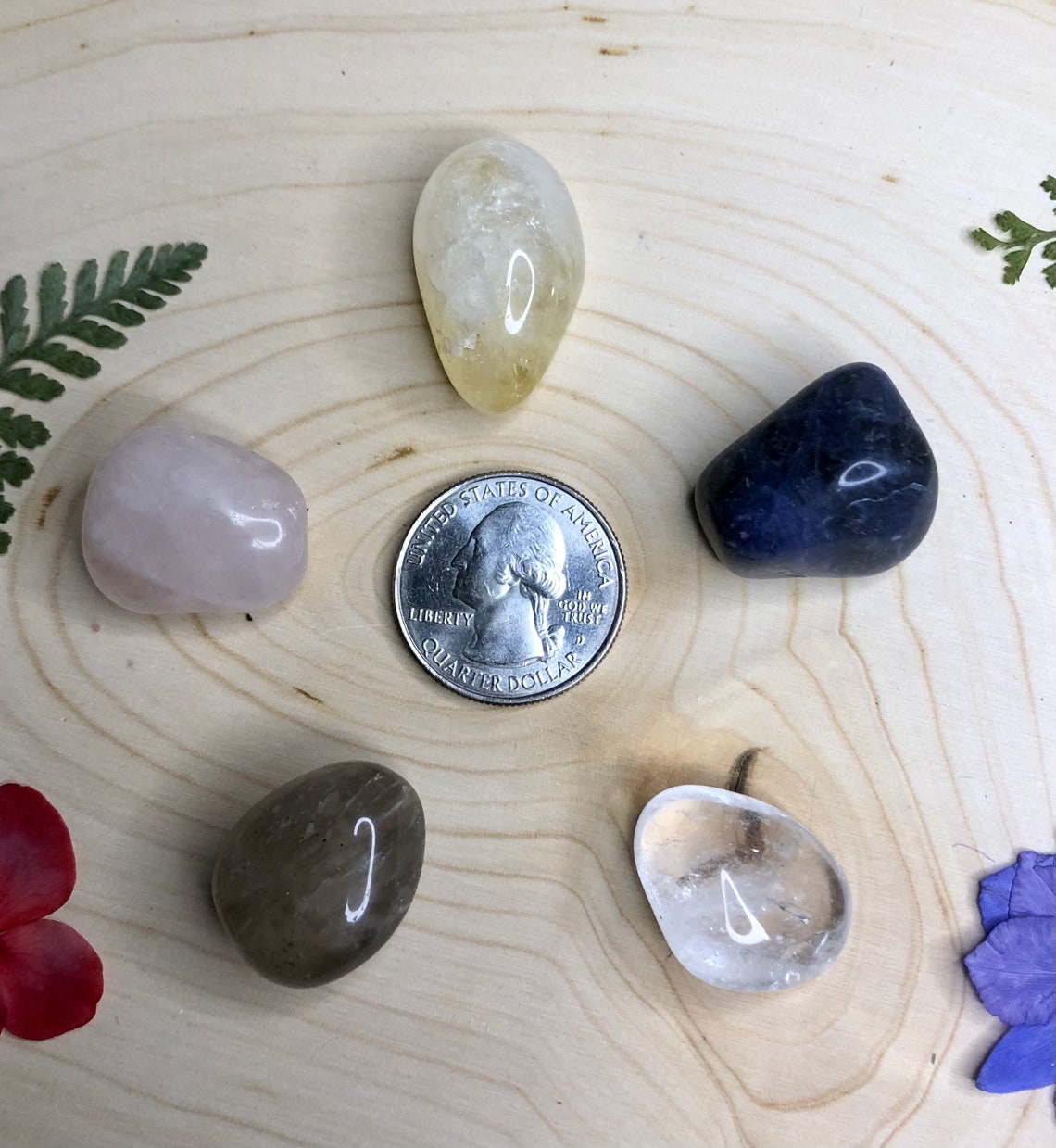 Scorpio Crystals Set NUEVO cristales para Escorpio Etsy