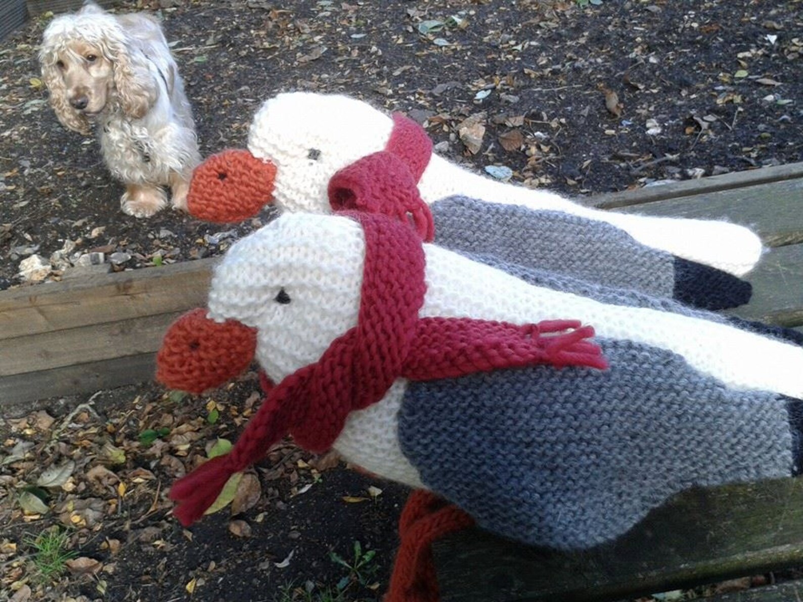 Seagull Knitting Pattern PDF Easy Knitting Pattern Seaside Etsy UK