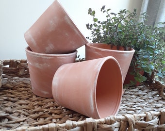 Rustic Aged Terra Cotta Pot and Saucer, Herb Planter with Herb Seeds