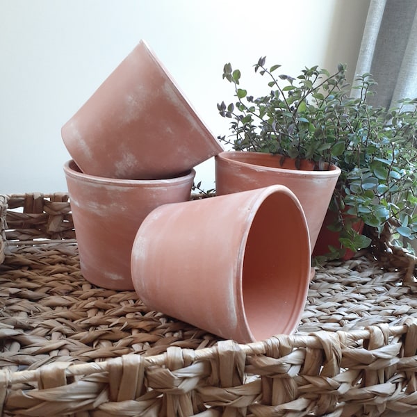 Rustic Aged Terra Cotta Pot and Saucer, Herb Planter with Herb Seeds