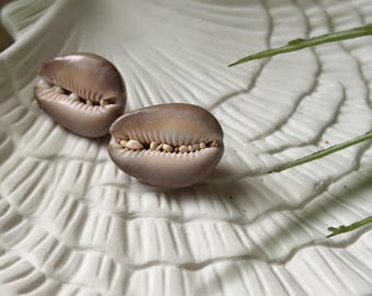 Natural Hawaiian Cowrie Shells, Found in Hawaii, Oahu Cowries, Hand Picked, Beach Finds, Shell Pairs for Jewelry