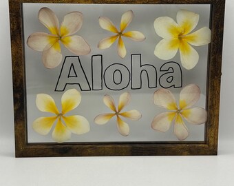 Aloha Plumeria Pressed Flower Art