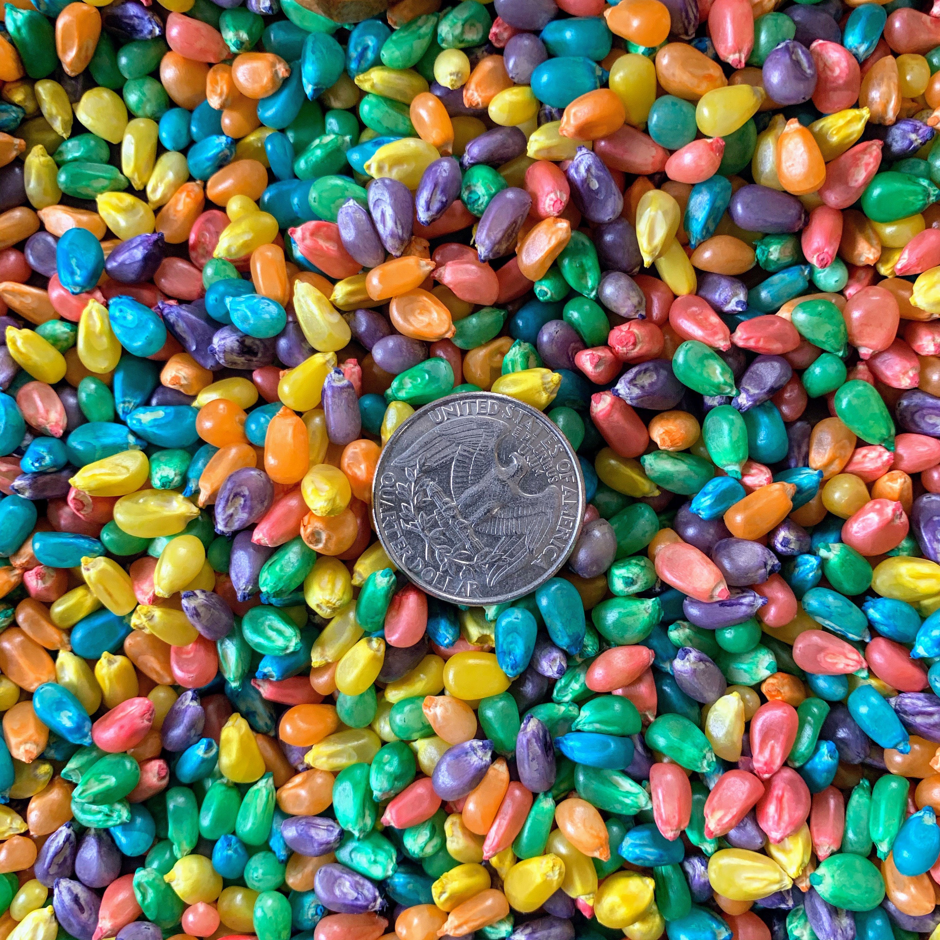 Rainbow Corn Sensory Bin Filler