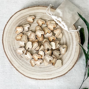 Set of 50 Wooden Worm Counters