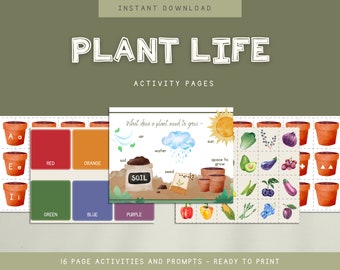 Plant Life Preschool Activity Pages