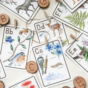 Cartes-éclair de l'alphabet nature