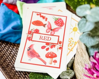 Color Flashcards