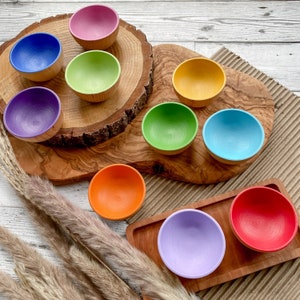 10 Rainbow Wooden Sorting Bowls