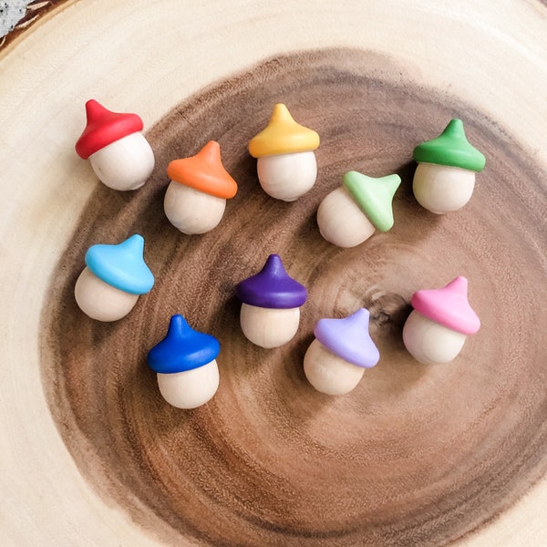 10 Rainbow Sorting Acorns - Nature Bits Loose Parts - Hand Painted - Montessori Wooden - Waldorf Toys