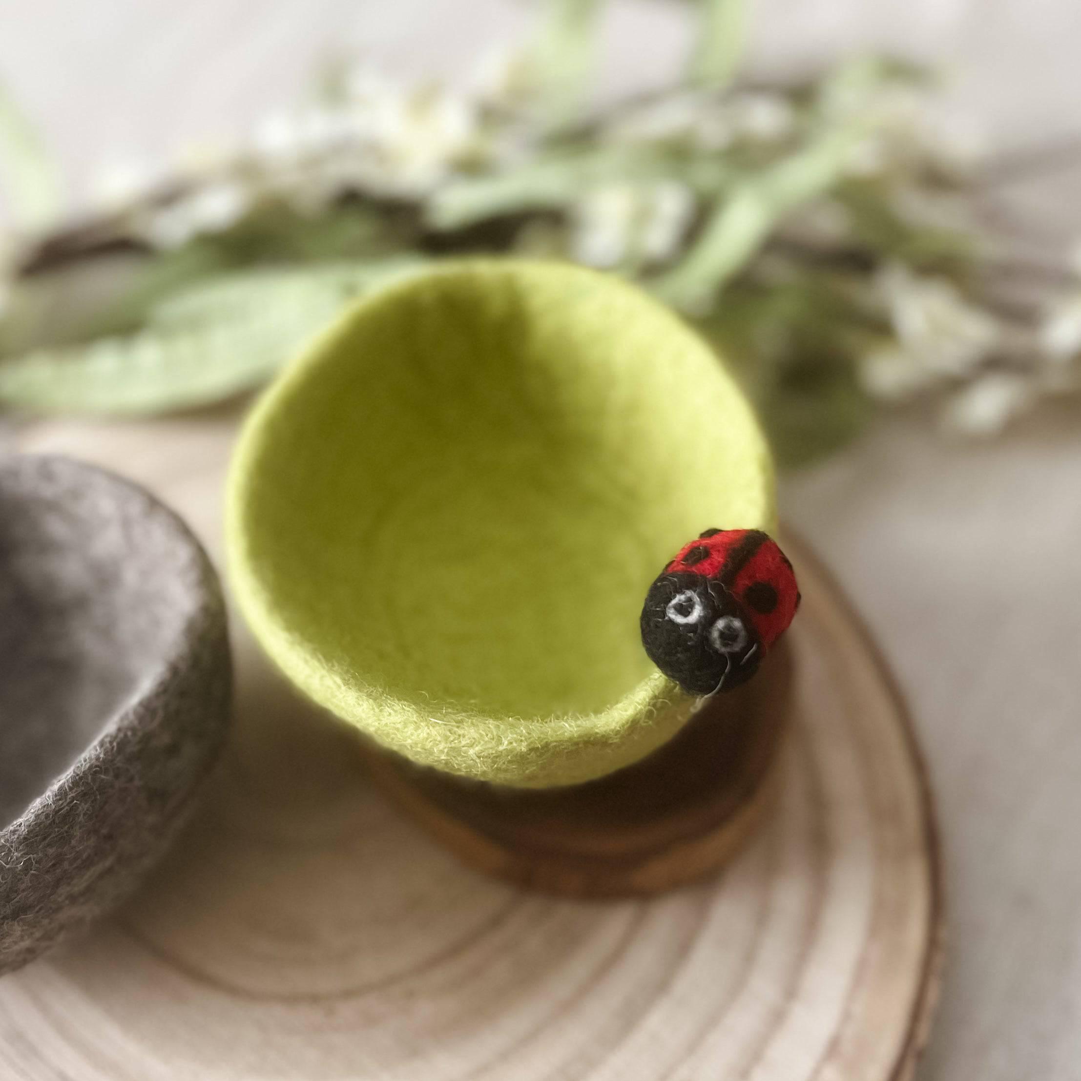 Garden Bug Felt Mini Bowls - Etsy