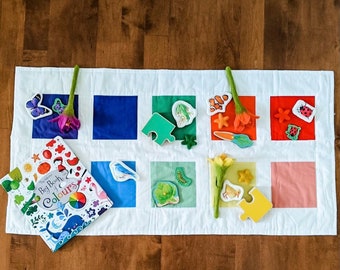 Color Sorting Quilt and Beanbags