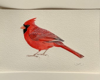 Cardinal Painting Card Art 6 x 9.5 Inch