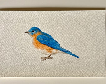 Blue Bird Painting Card Art