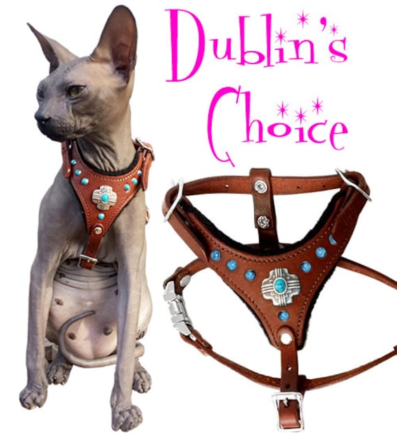 extra small cat harness