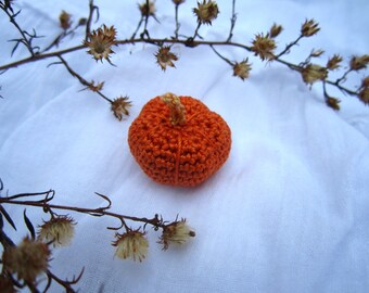 Realistic Mini Pumpkin - Crochet Pattern