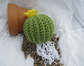 Blooming Barrel Cactus - Crochet Pattern