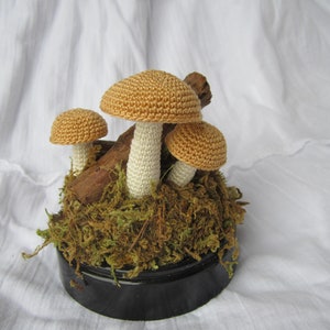 Little Brown Mushrooms - Crochet Pattern