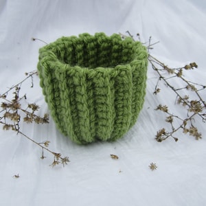 Little Cactus Basket - Crochet Pattern