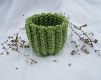 Little Cactus Basket - Crochet Pattern