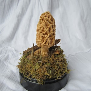 Morel Mushroom - Crochet Pattern