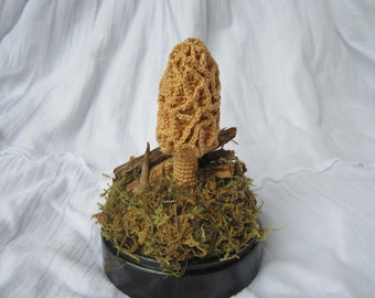 Morel Mushroom - Crochet Pattern