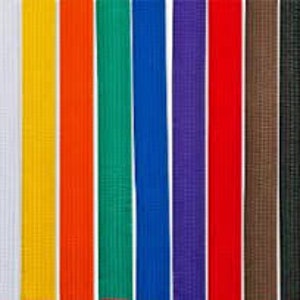 May include: A set of 10 martial arts belts in different colors, including white, yellow, orange, green, blue, purple, red, brown, and black.