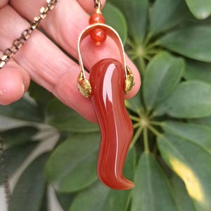 Carnelian Horn Pendant Necklace: Hammered Brass, Lucky Charm
