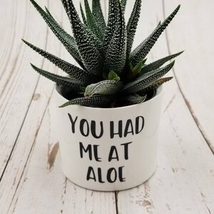 New Set of 4 Punny plant pots, succulent pots. Plants NOT included, see all photos for included pots. image 2