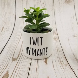 New Set of 4 Punny plant pots, succulent pots. Plants NOT included, see all photos for included pots. image 5