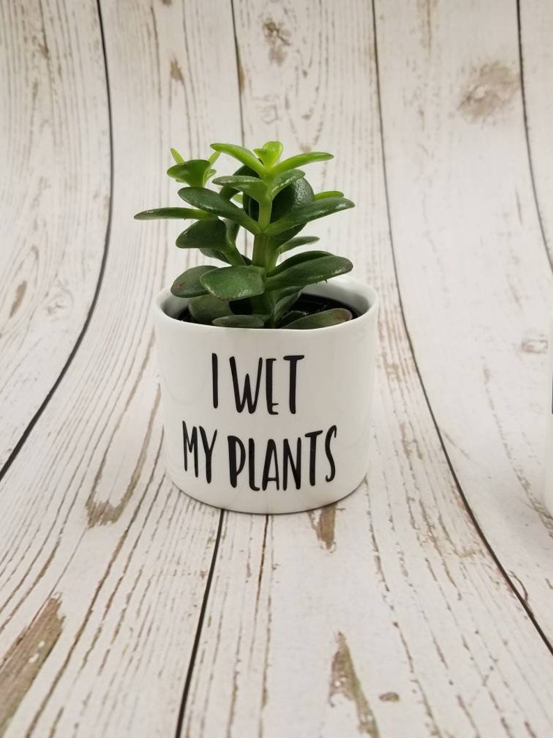 New Set of 4 Punny plant pots, succulent pots. Plants NOT included, see all photos for included pots. image 5