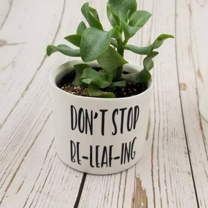 New Set of 4 Punny plant pots, succulent pots. Plants NOT included, see all photos for included pots. image 4