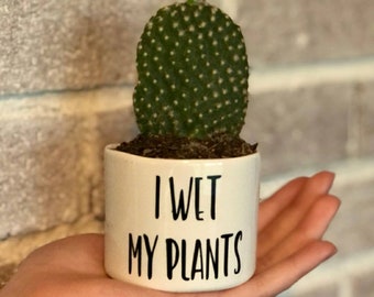 Single Punny plant pots | Succulent pots | Plants NOT included