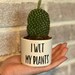 see more listings in the Plant Pots section