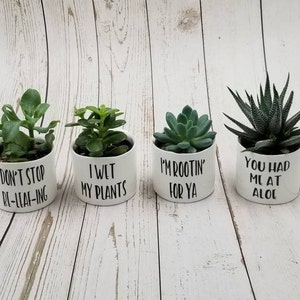 New Set of 4 - Punny plant pots,  succulent pots.  Plants NOT included, see all photos for included pots.