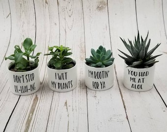 New Set of 4 - Punny plant pots,  succulent pots.  Plants NOT included, see all photos for included pots.