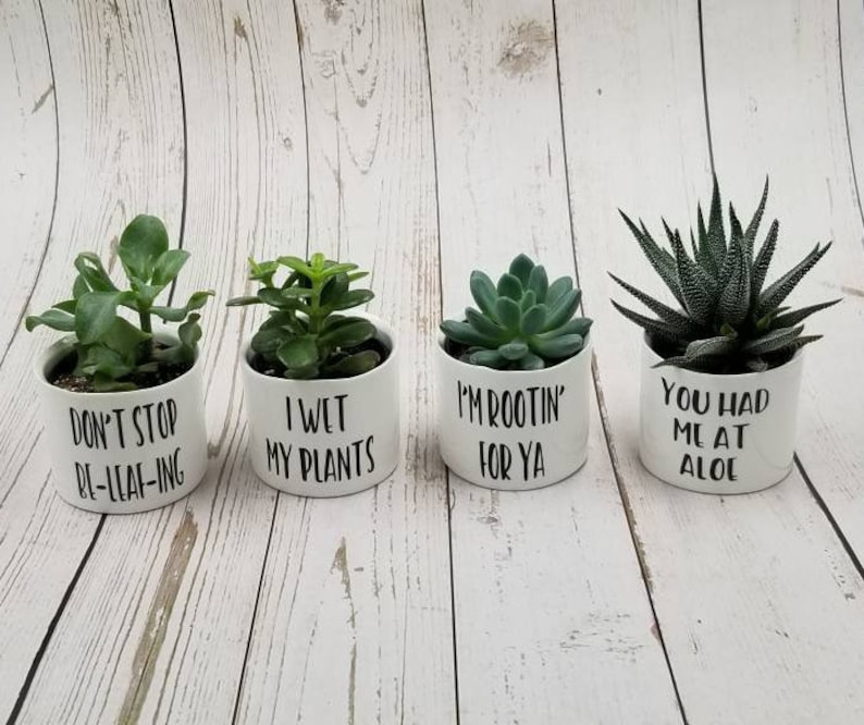 New Set of 4 Punny plant pots, succulent pots. Plants NOT included, see all photos for included pots. image 1