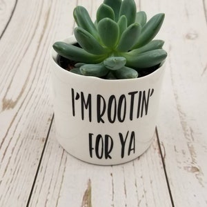 New Set of 4 Punny plant pots, succulent pots. Plants NOT included, see all photos for included pots. image 3