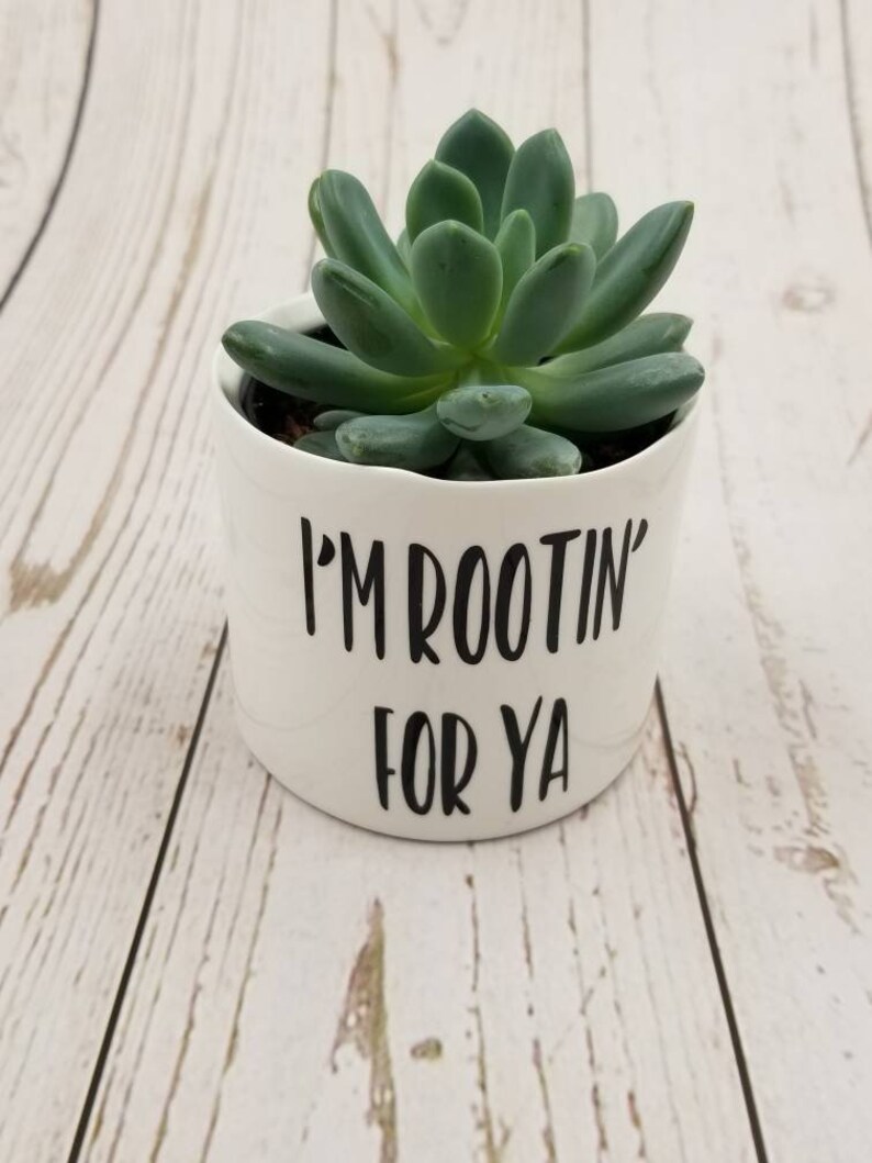 New Set of 4 Punny plant pots, succulent pots. Plants NOT included, see all photos for included pots. image 3