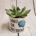 see more listings in the Plant Pots section