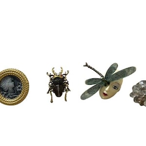 Puede incluir: Un conjunto de cuatro broches vintage que incluyen un camafeo con marco dorado, un escarabajo dorado, una libélula con la cara de una mujer y un grupo de cristales transparentes.