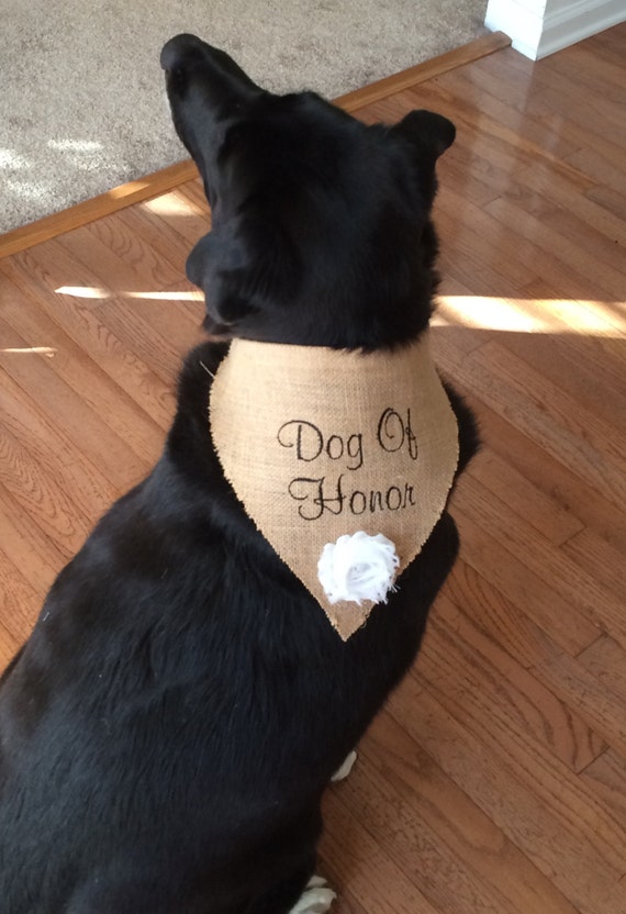 dog of honor wedding bandana