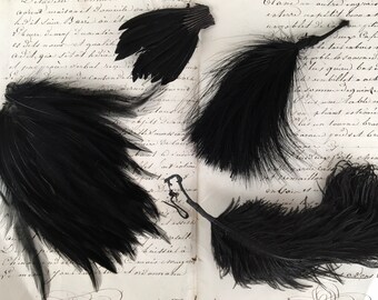 Black feathers for crafts, arts, hat, jewellery making, Halloween projects