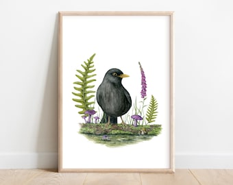 Blackbird nature poster, ferns and mushrooms, branch with moss and lichens