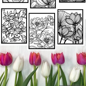 Floral Coloring Pages: Botanical Art, Set of 6 (PDF Download)