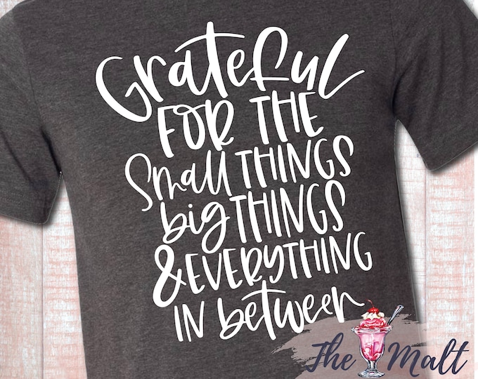 MALT SHOPPE Thanksgiving Grateful for the Small Things Big Things Everything in Between Shirt