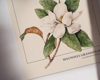 Botanical Art Print Magnolia Grandiflora - Boho Print - A copy of a Watercolour Illustration